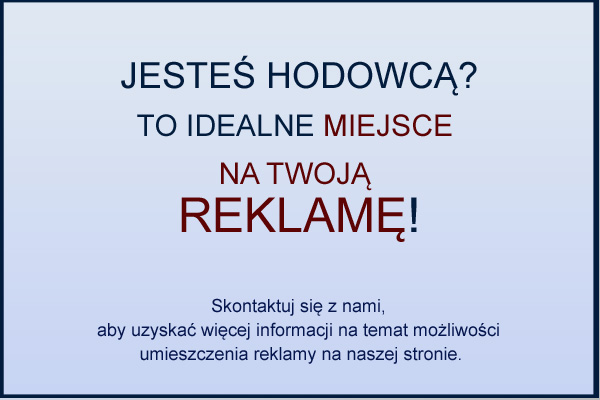 kynologia_reklama - Kopia