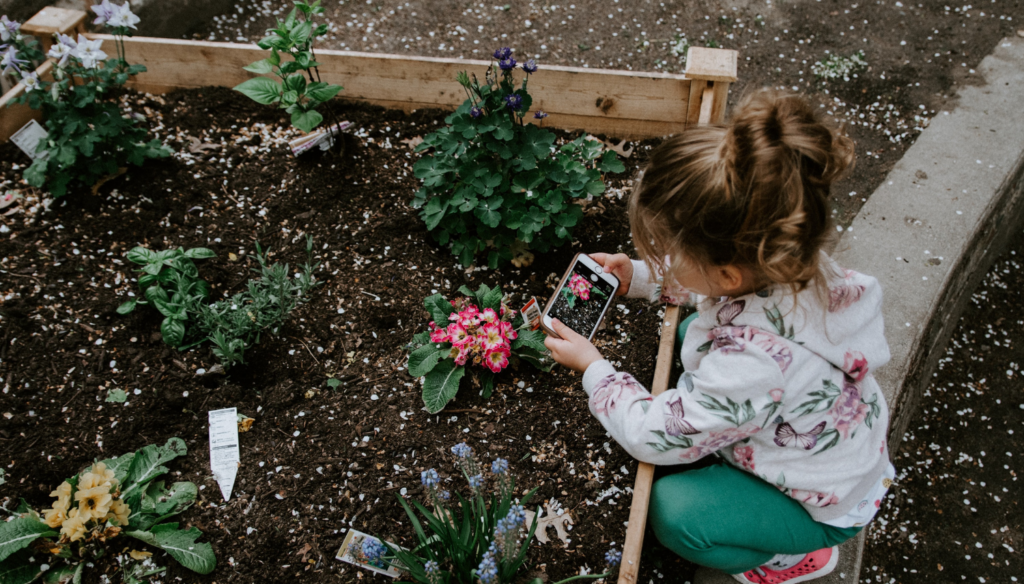 Wakacje z telefonem – ciekawe aplikacje dla dzieci na wakacje